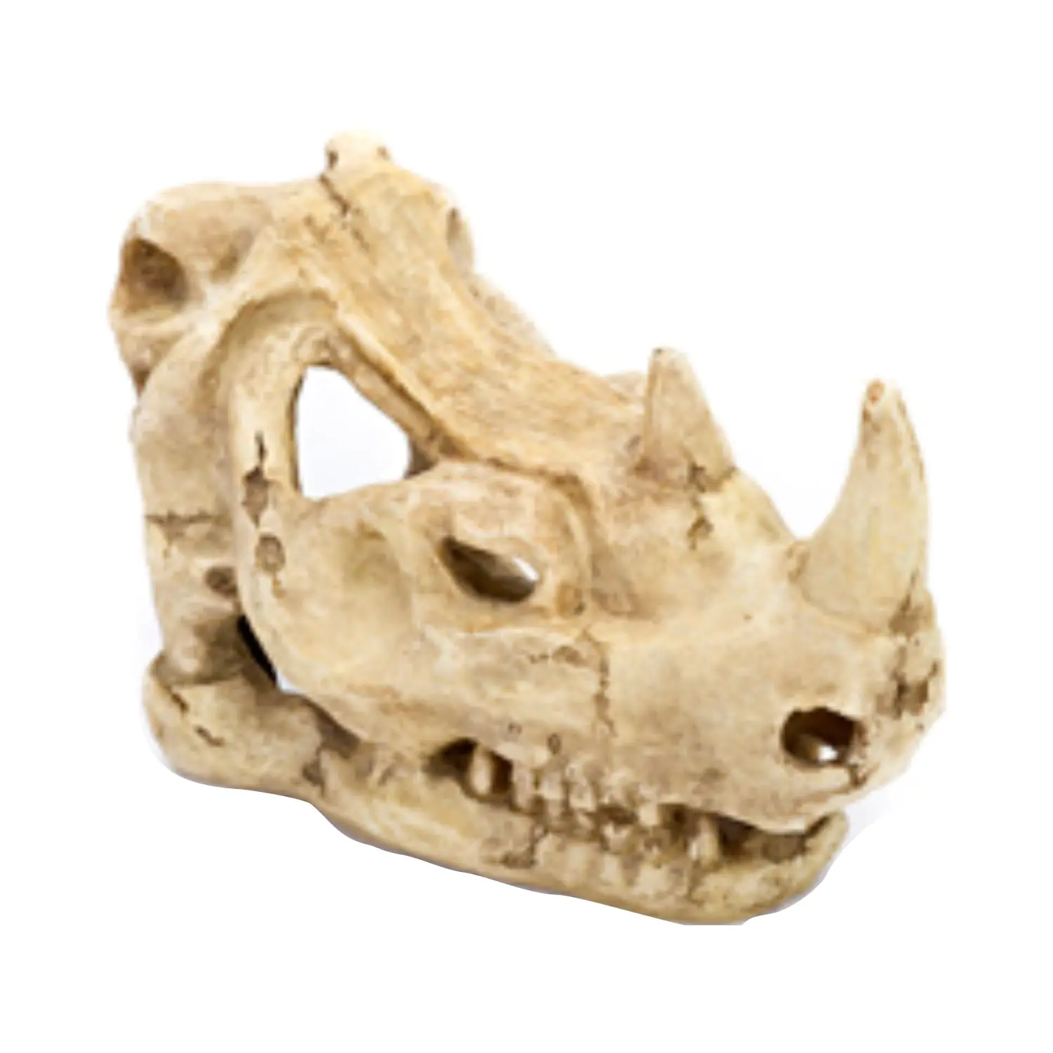 PENNPLAX Rhino Skull Aquarium Ornament